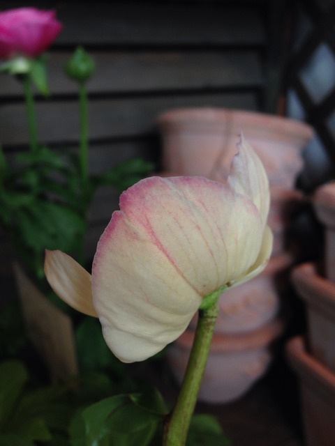 画像30