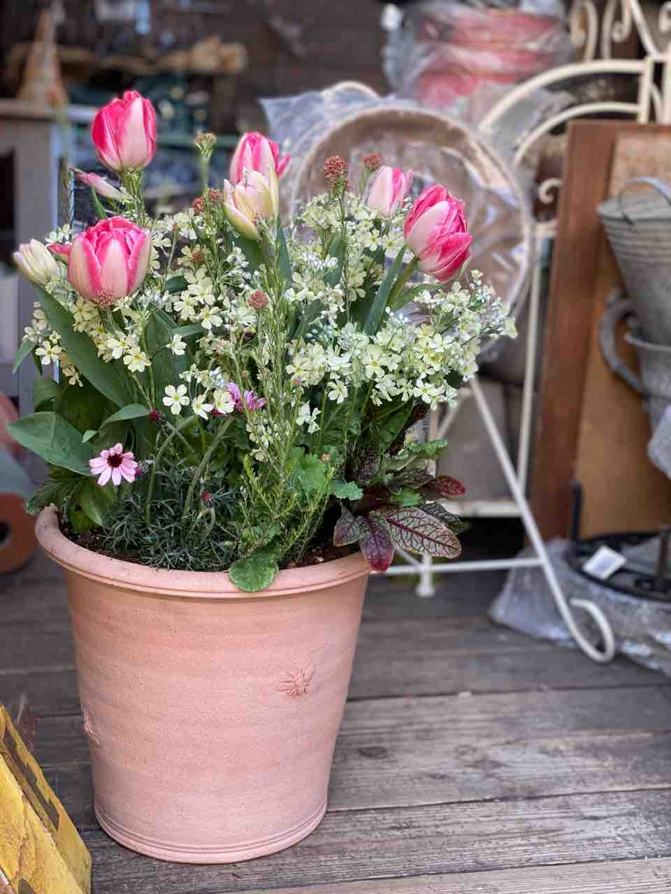 今週末は寄せ植えで決まり チップ マリーへ ようこそ 今週末は寄せ植えで決まり チップ マリーへ ようこそ