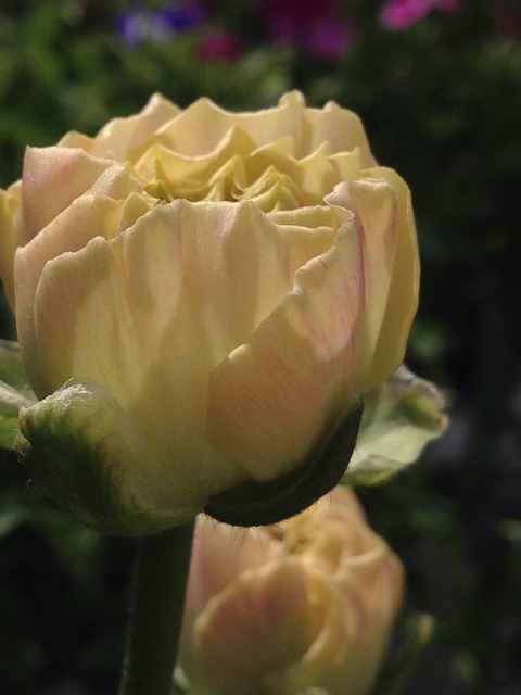2014-04-07-12-48-41