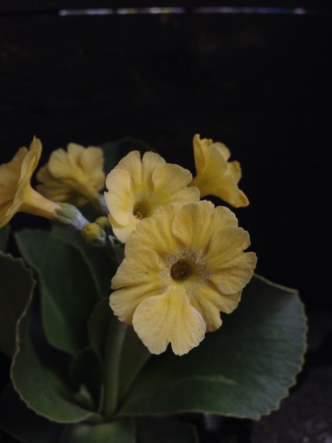 2014-04-07-15-49-50