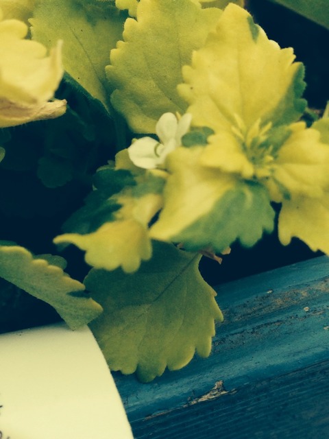 2014-04-07-12-37-44