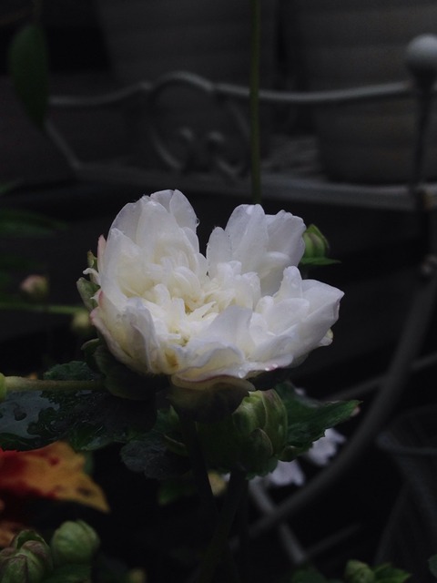 2016-09-26-09-55-08