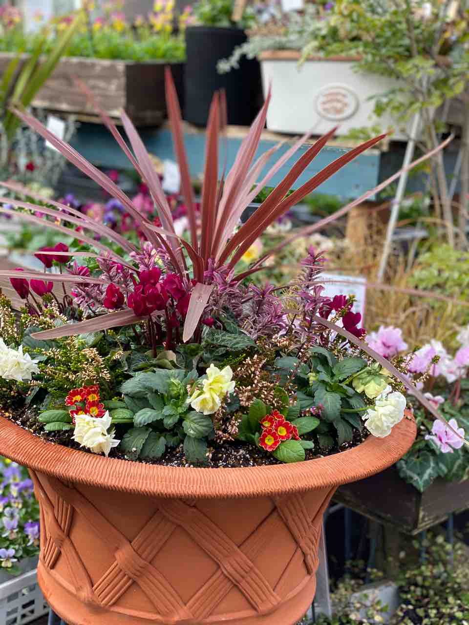 寄せ植え　ウィッチフォード鉢　鉢だけ購入OKです 寄せ植え ウィッチフォード鉢 鉢だけ購入OKです 寄せ植え ウィッチ