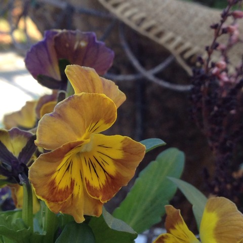 2015-01-24-13-58-59