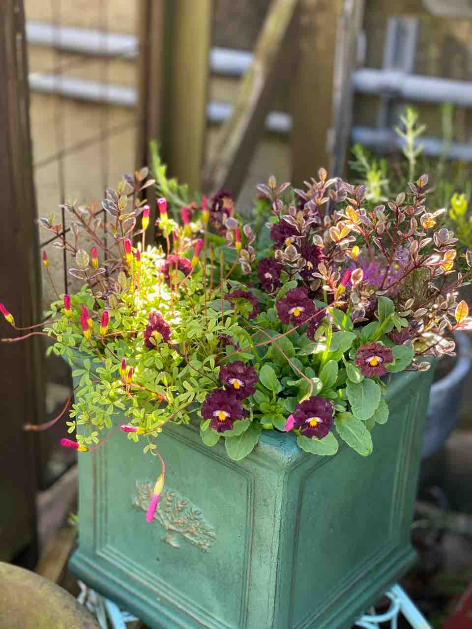 チップ マリーへ ようこそ