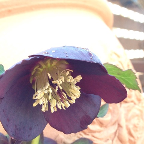 2015-01-24-13-57-29