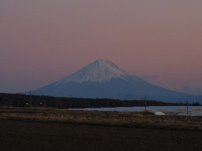 IMGP2665