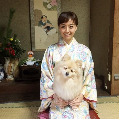 o0480048013177715863