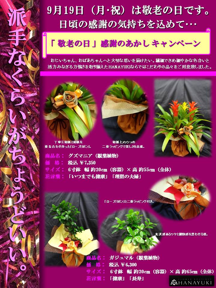敬老の日 感謝のあかし キャンペーン のご案内 花ユキ イベント情報