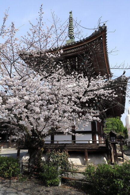 75IMG_8737