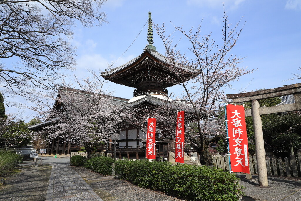 73IMG_8676