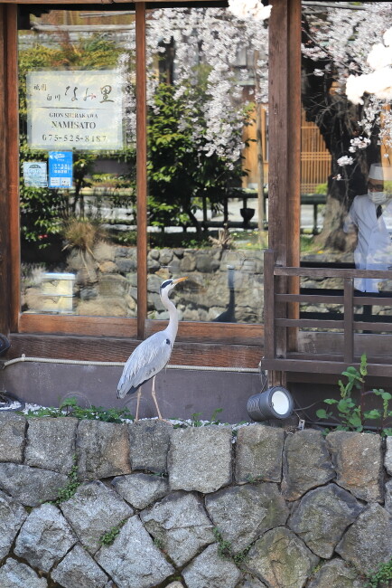 75IMG_8827