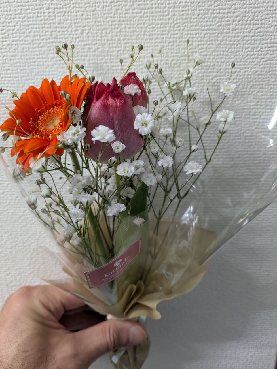 PXL_20250402_113251651
