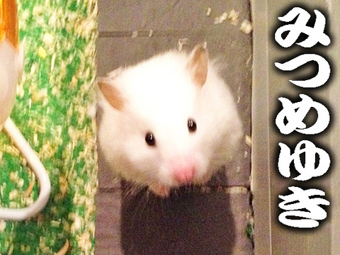 477