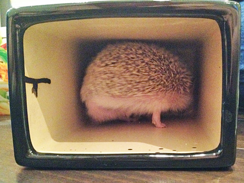 514