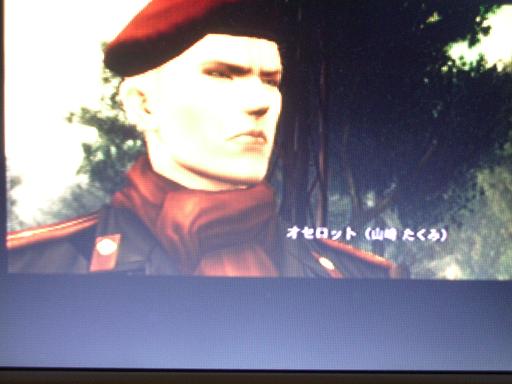 ダメ絶対音感 サンタデストロイ サバイバルガイドld