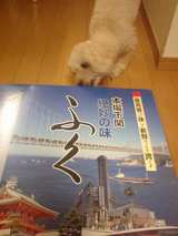 ふく-1