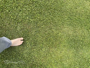 IMG_7165
