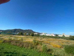 IMG_1352