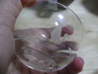テーブルウェアフェスティバル200924