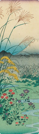 shiori_kai