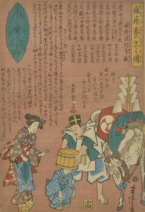 歌川芳虎《麻疹養生之伝》文久2年(1862)4月【前期展示】