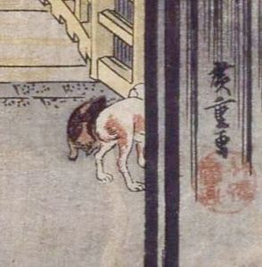 犬
