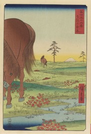 ②馬　広重