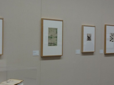 庭の小さい虫１