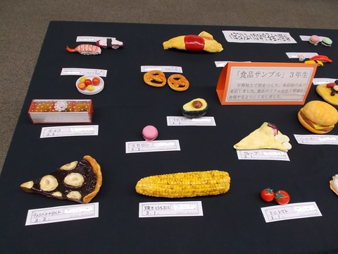 ④DSCN3234 - コピー (2)