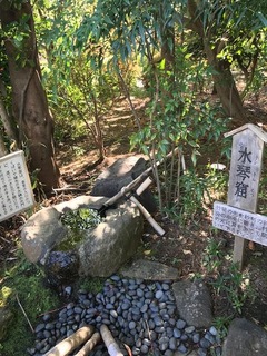 水箏窟