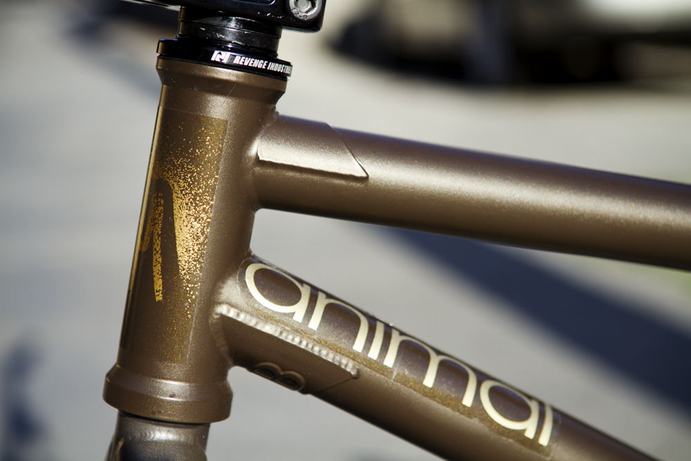 Bike Check: Randy Brown : 京都のBMX SHOP HANGOUT ハングアウト BLOG