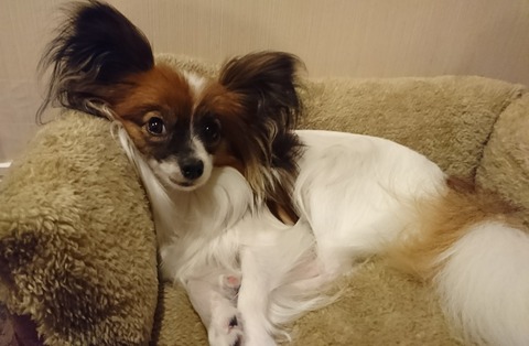 3ヶ月まとめ【トイレ編】