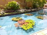 rps20250621_162054