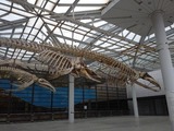 rps20200224_083554