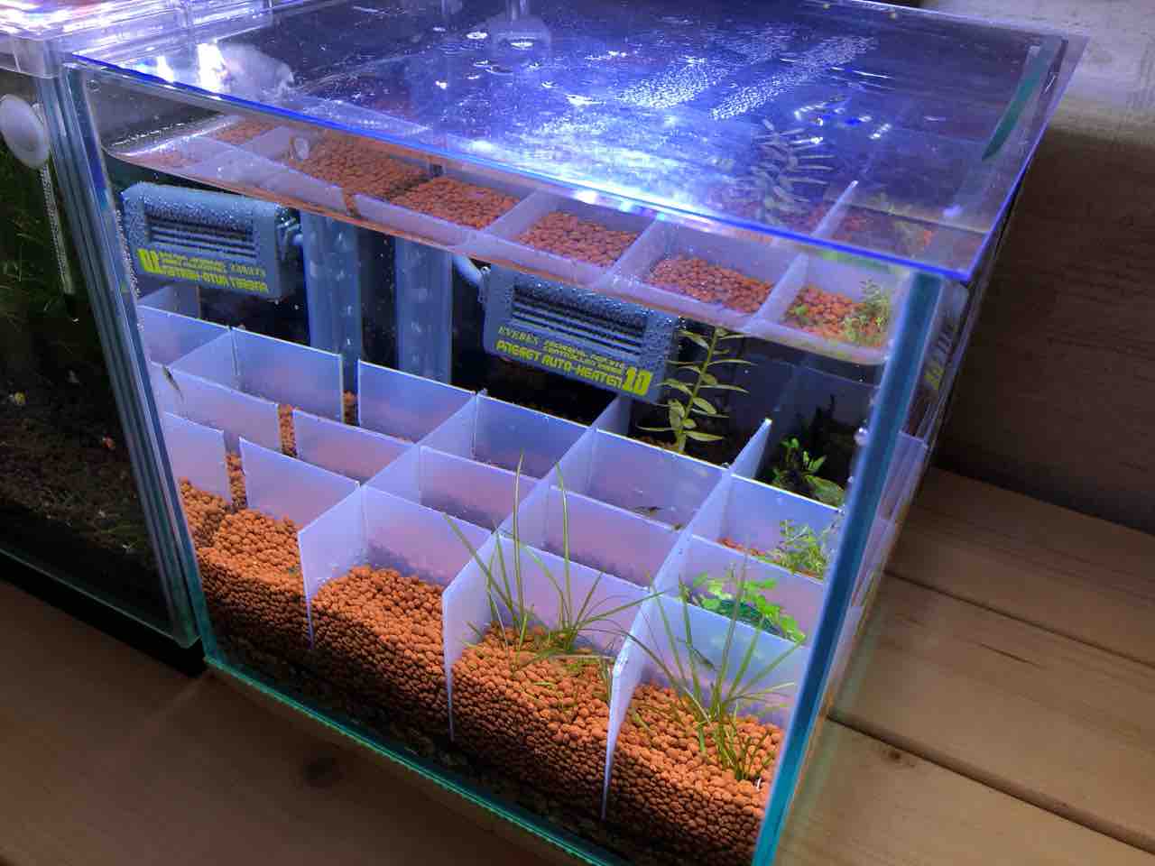 水草ストック水槽 プラ板で仕切り つるつるいっぱい Aquarium 水草ストック水槽 プラ板で仕切り つるつるいっぱい Aquarium