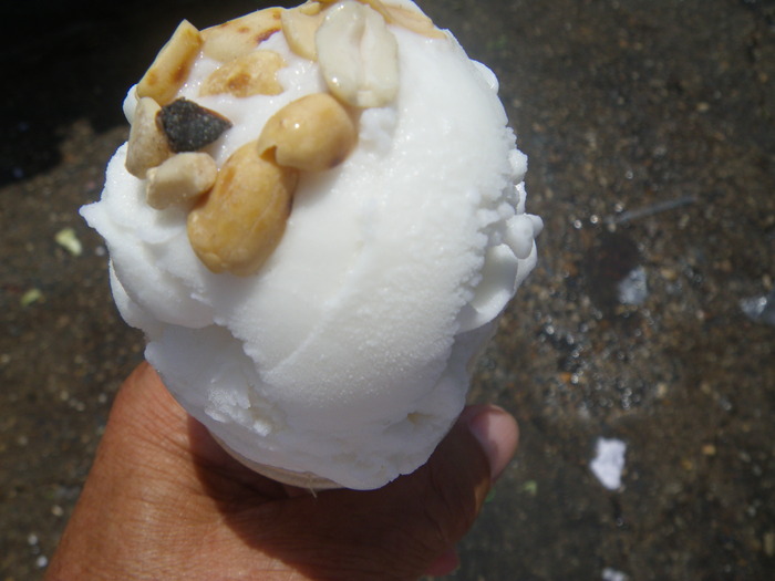 IMGP0509