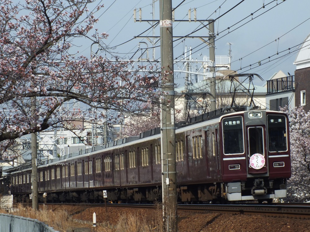 EC6DC9DA-B8AA-480D-AE49-6C2B157DED5A