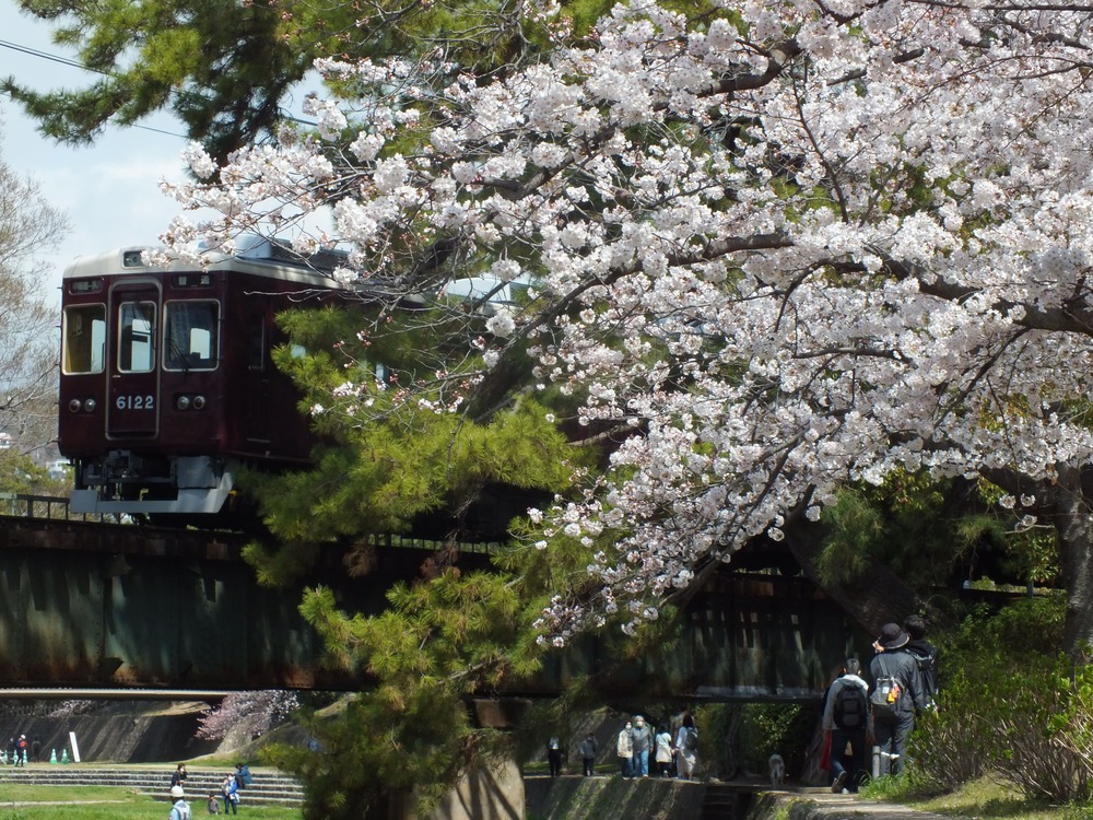 3511DB4F-F67A-41D8-A475-1AA1816FDB0E