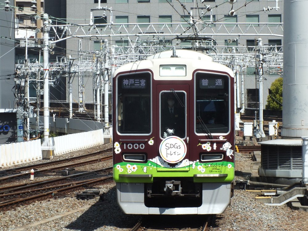 DSCF3241