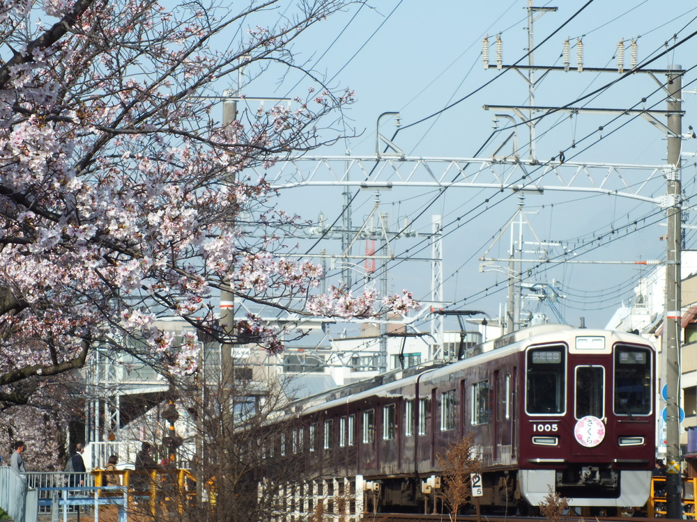 3542D18C-B5A3-4EF6-A42B-230BFE449B1A