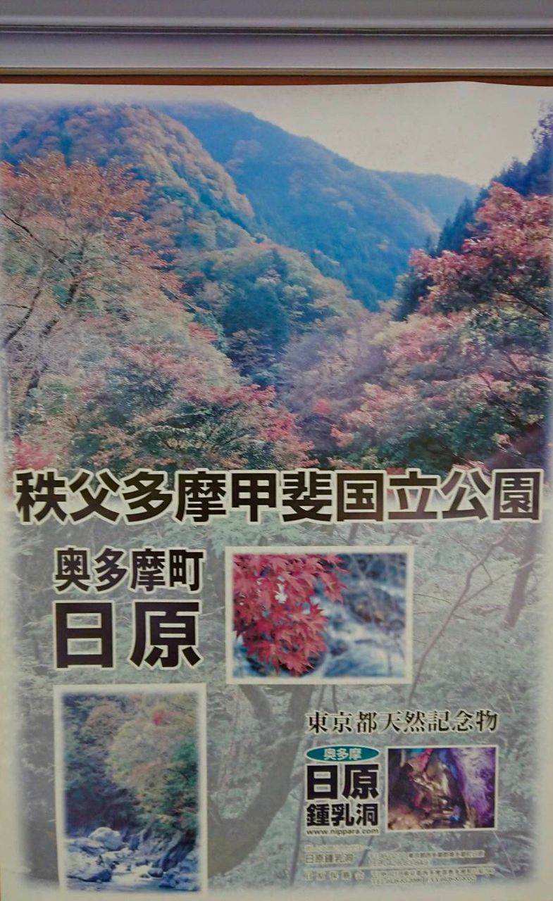 イメージ 27