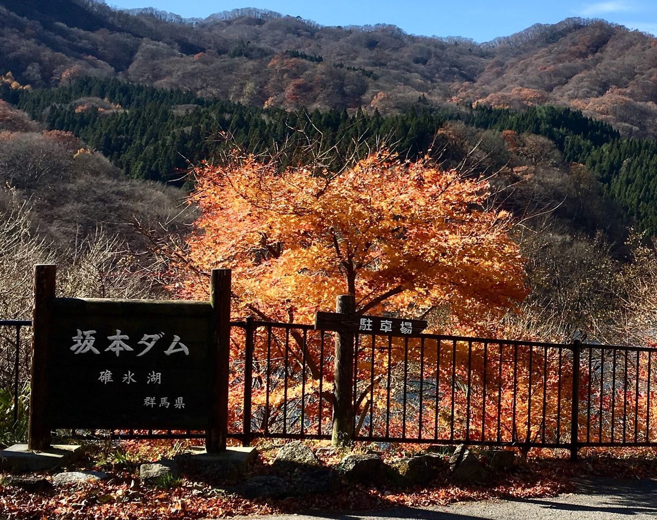 イメージ 6