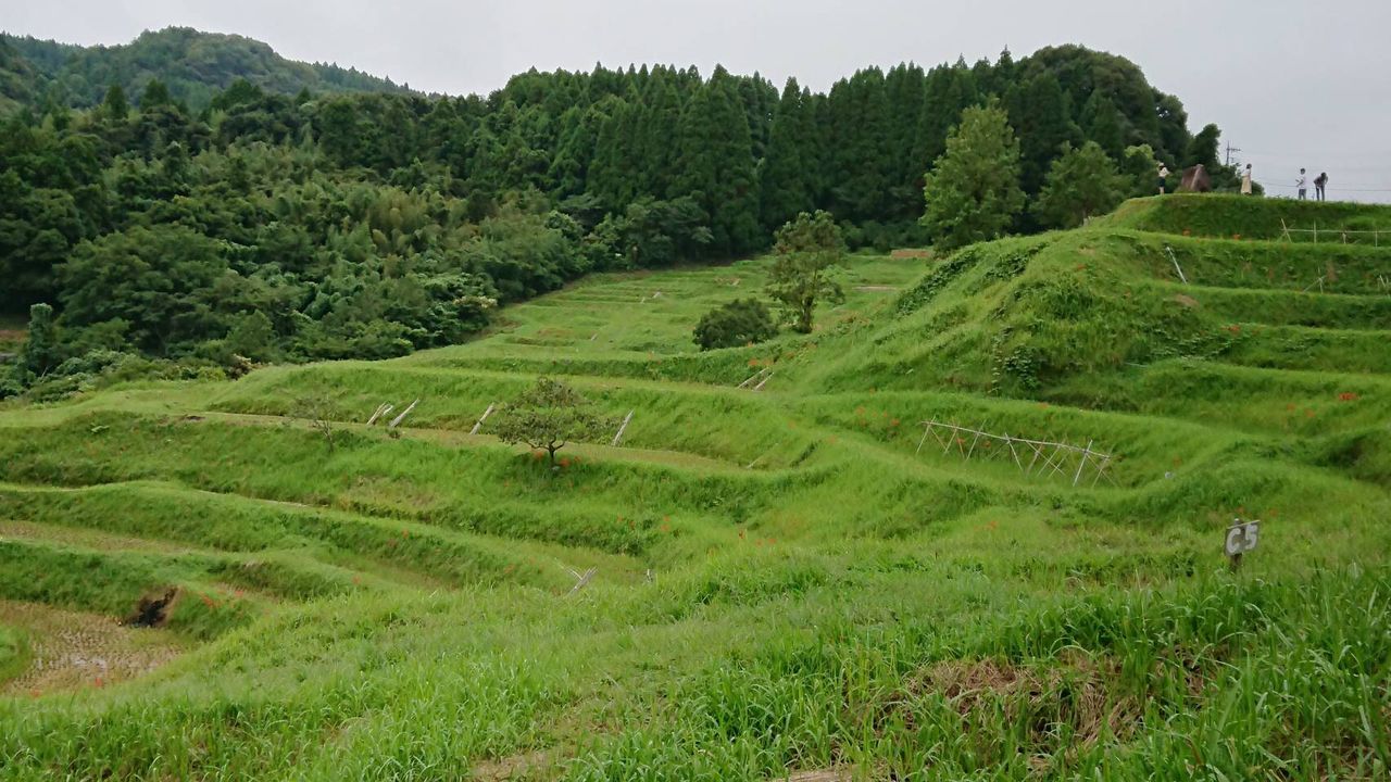 イメージ 33