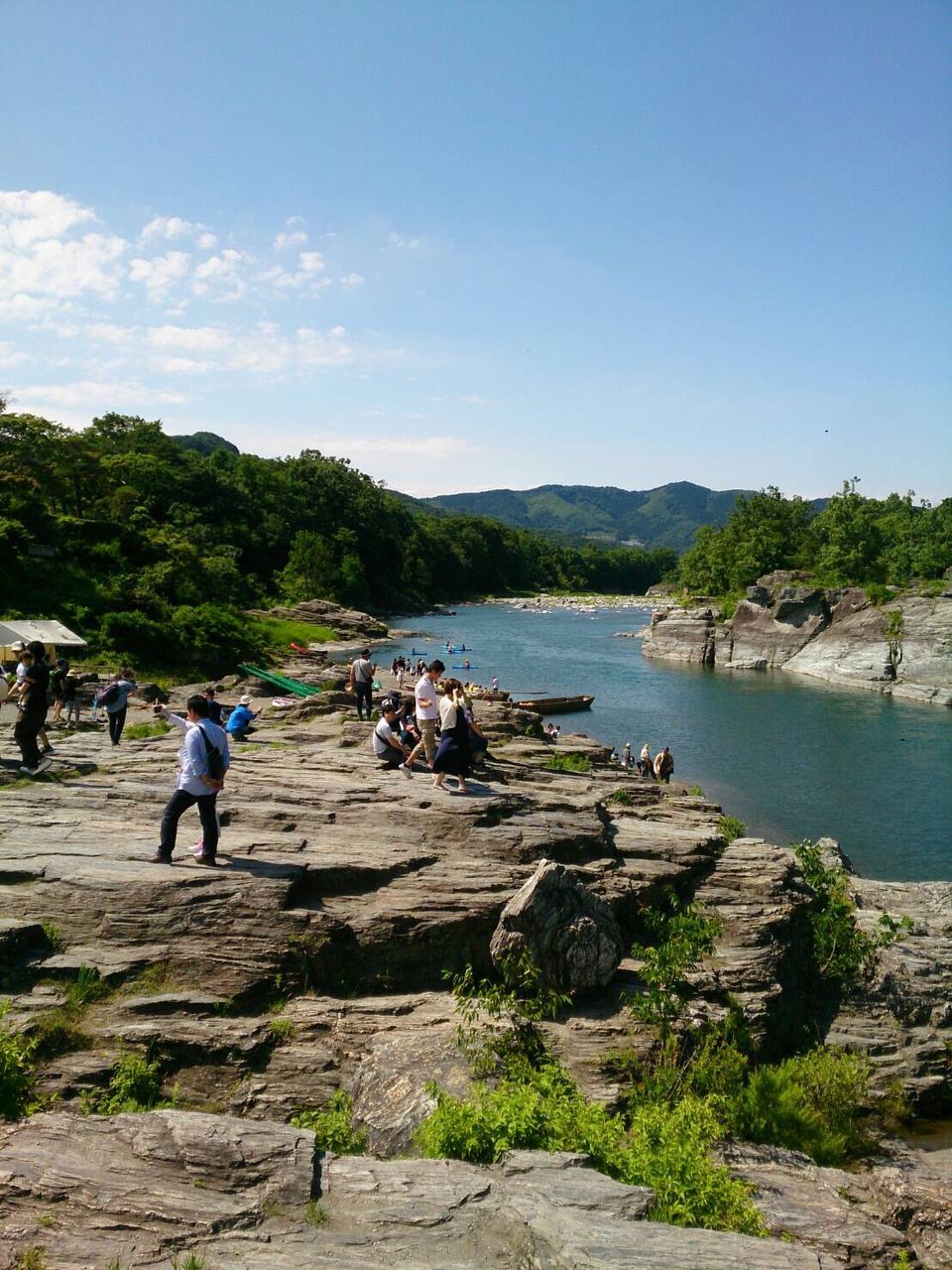 イメージ 5