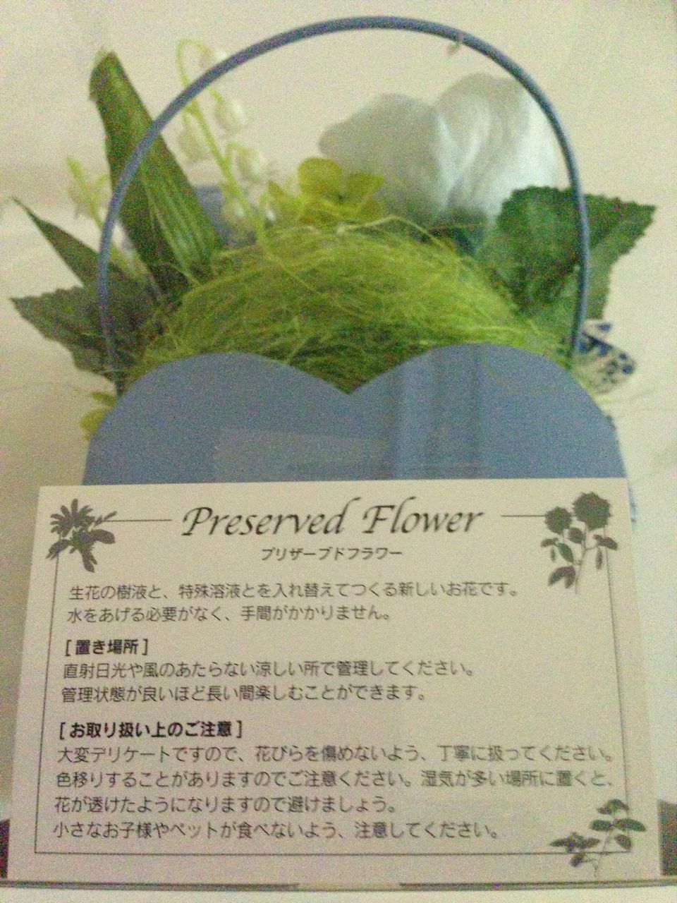 イメージ 4