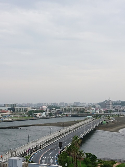 DSC_2384