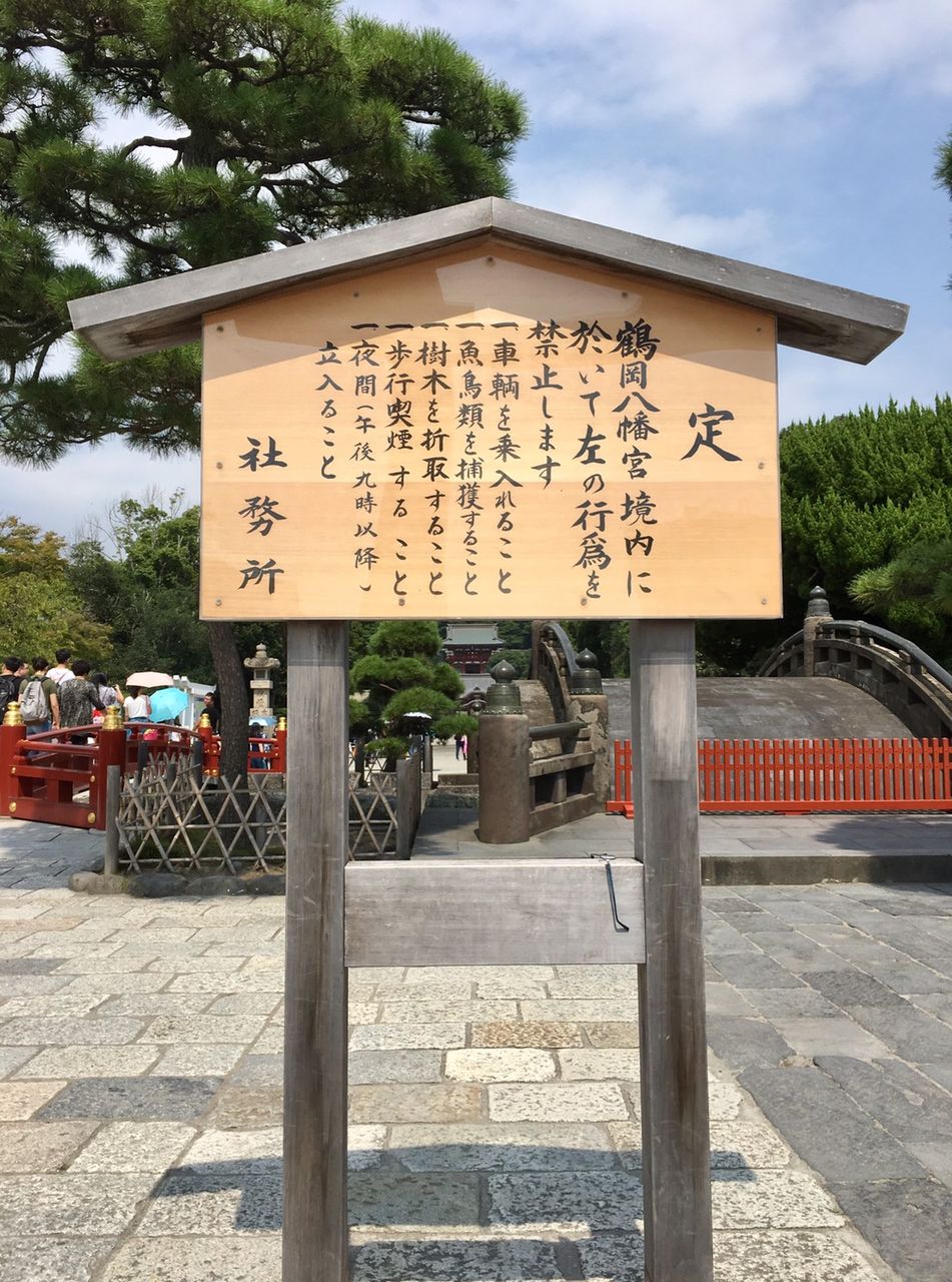 イメージ 7