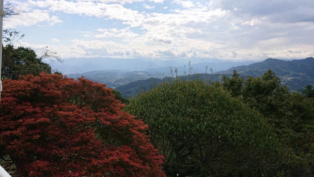 イメージ 18