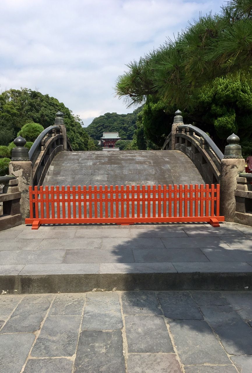 イメージ 8